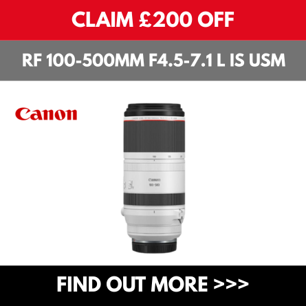 Image Canon RF 100-500mm.png